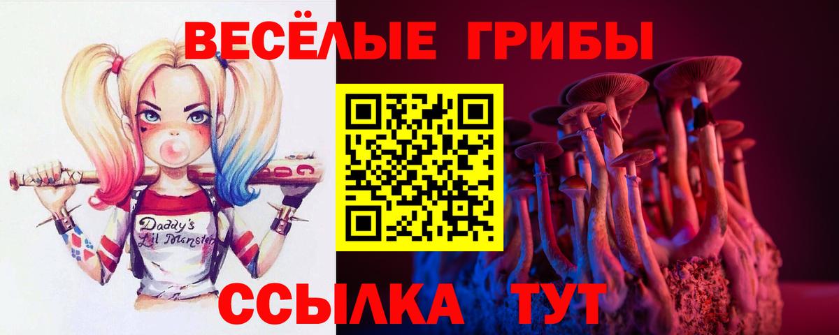 Галлюциногенные грибы прущие грибы  Псилоцибиновые грибы мухоморы  как найти закладки  Вход с VPN  Советск 